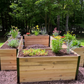An attractive L-shaped arrangement of new cedar planter boxes with black metal corners sits in a mulched yard. The boxes are filled with soil and a variety of colorful flowering plants, including daylilies and smaller perennials, creating a lush garden space against a backdrop of trees and a wire fence.