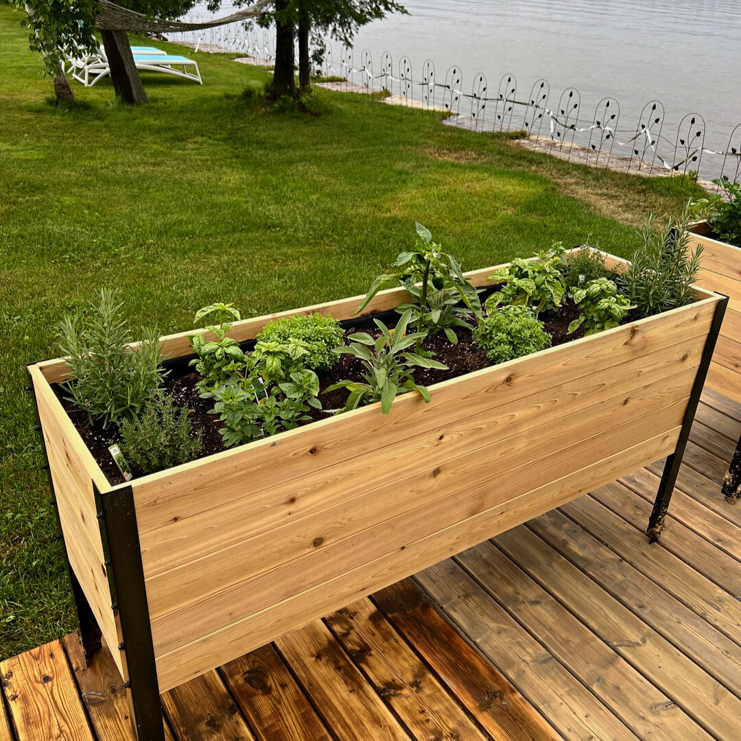 A long, raised cedar planter box with a black metal frame sits on a wooden deck. It is filled with a variety of healthy green herbs, including rosemary, basil, and sage.
