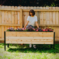 A woman in a white shirt and jeans smiles while tending to a long, raised cedar planter box. The box is filled with vibrant pink and deep red foliage, set against a wooden fence.