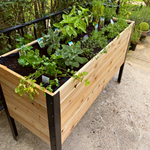 A long, raised cedar planter box with a black metal frame sits on concrete, filled with several varieties of thriving herbs, including basil, sage, and cilantro.